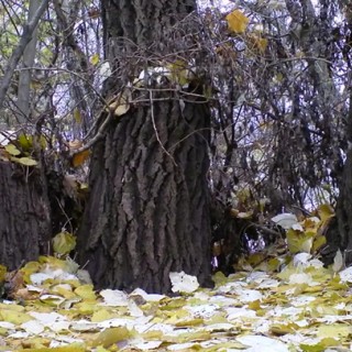 Порно жесткий орал анал жжмжж молоденькие студенты